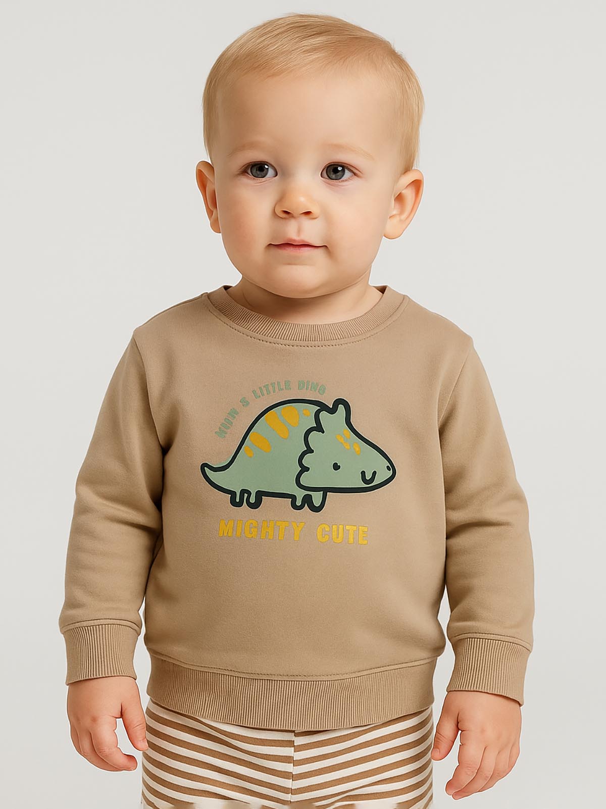 Baby Boys Pullover Beige Sweatshirt