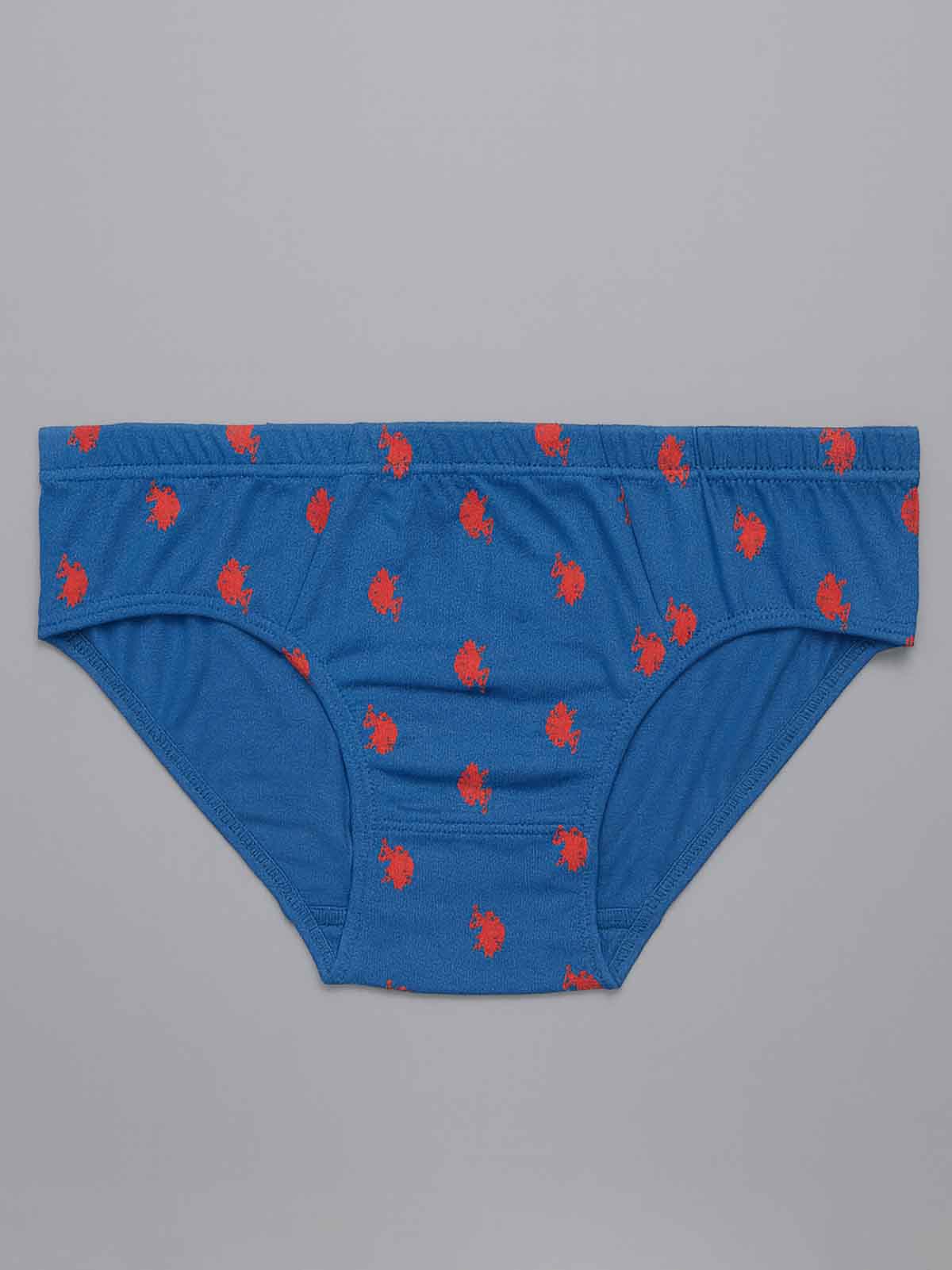 Mens Sretch 5 Pack Briefs Assorted