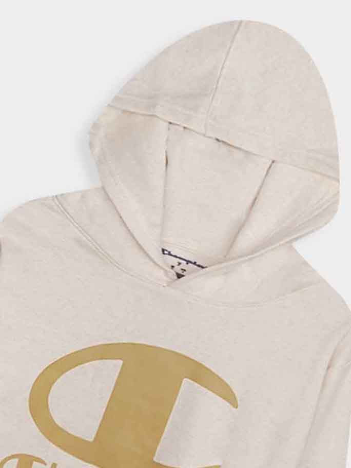 Boys Hooded Fleece Sweatshirts