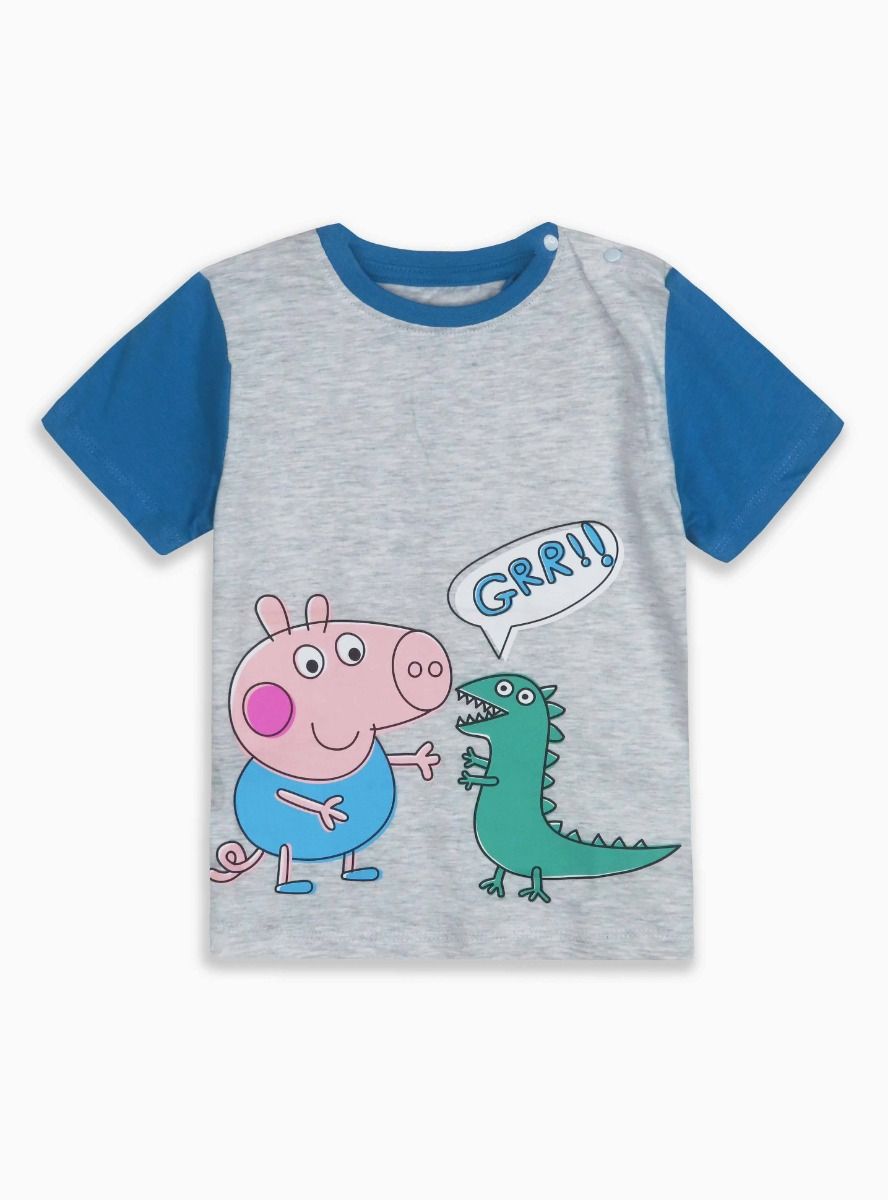 Baby Boys Printed Grey T Shirt