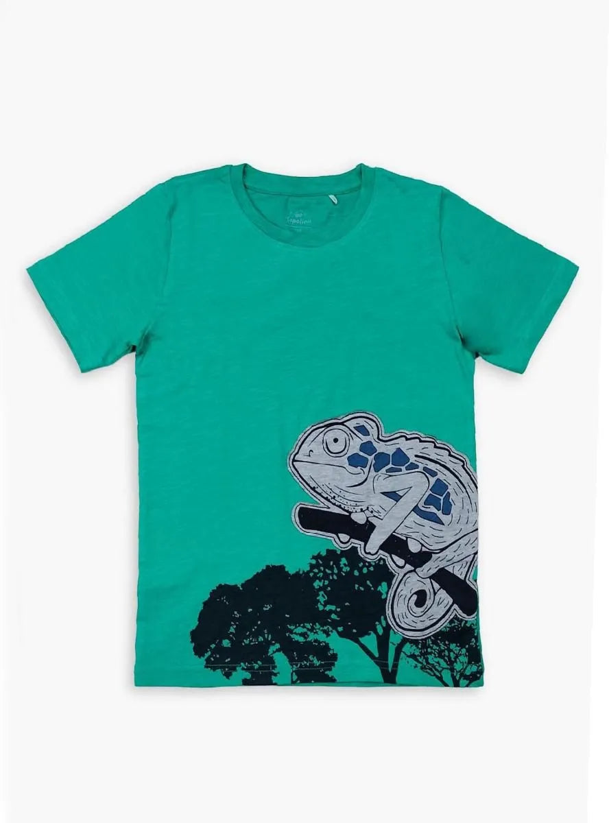 Boys Applique Green Tshirt