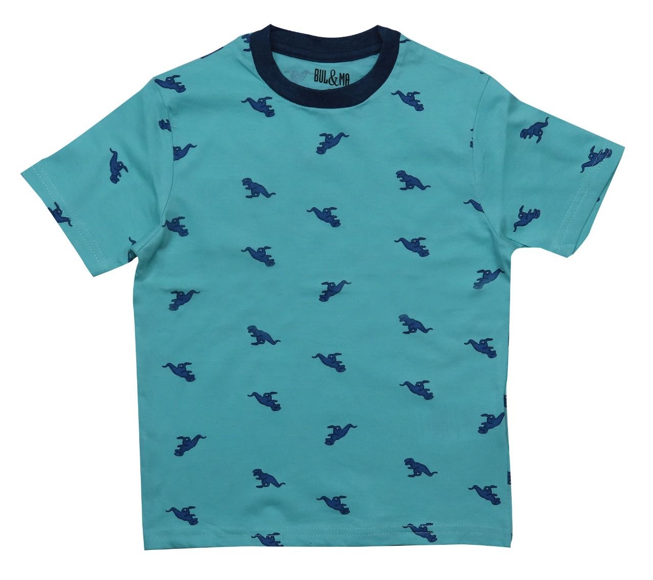 Boys Dino AOP Short Sleeve T-Shirts