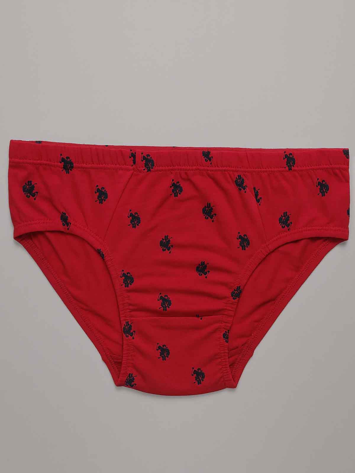 Mens Sretch 5 Pack Briefs Assorted