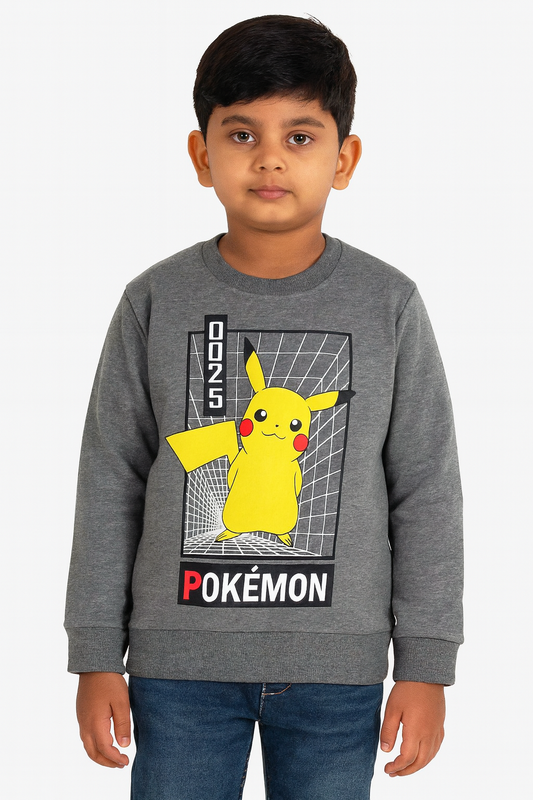 Boys Printed Crew Neck Pullover