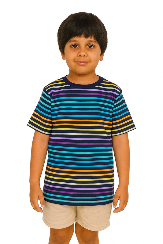 Boys Multi Striped T Shirt