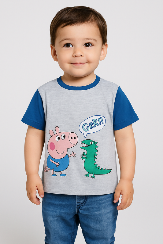 Baby Boys Printed Grey T Shirt