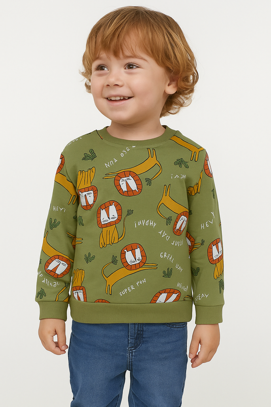 Baby Boys Pullover Green Sweatshirt