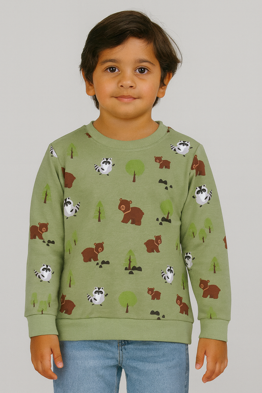 Boys Pullover Sweatshirt |  Green