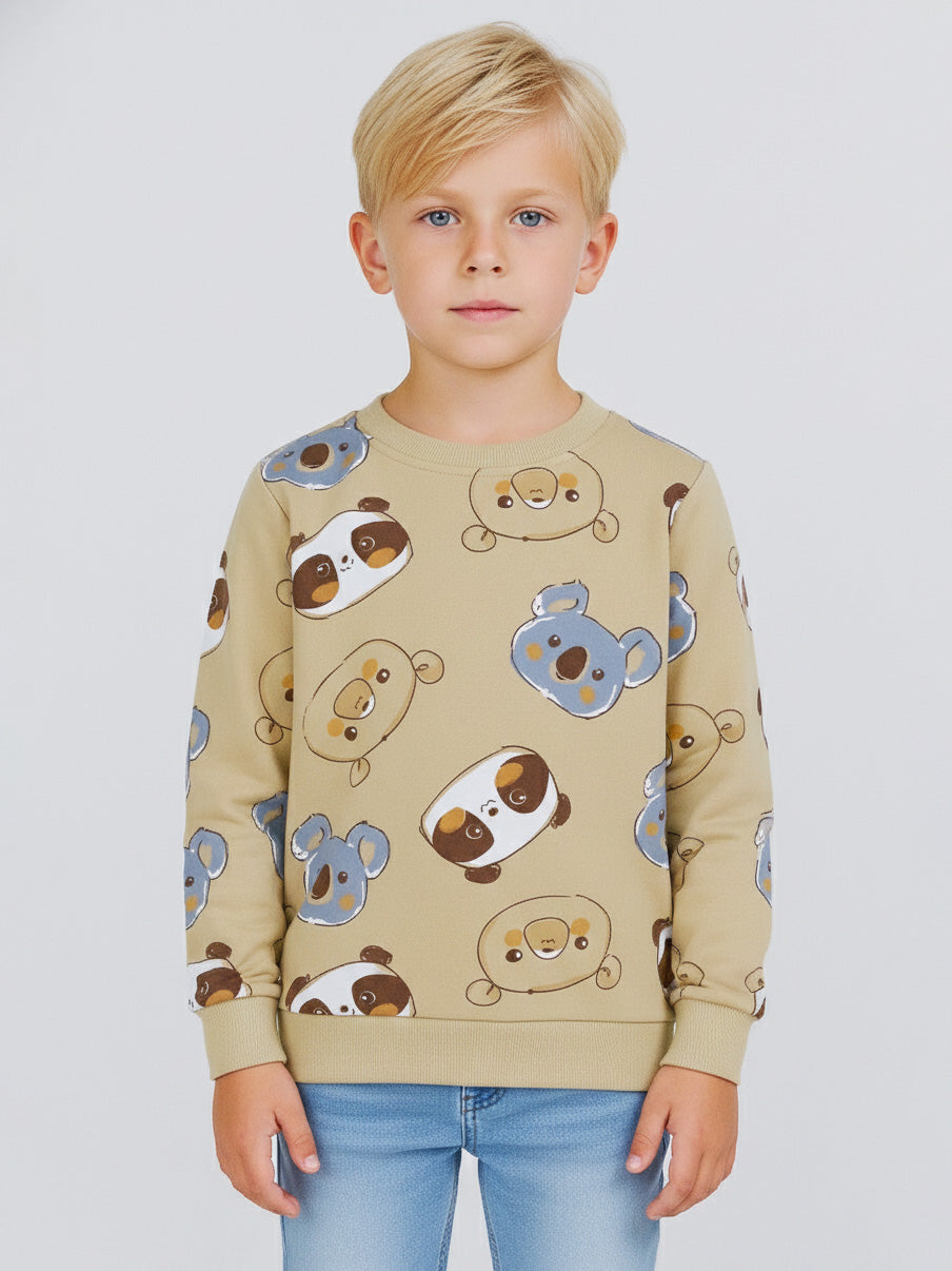 Boys Pullover Sweatshirt | Beige