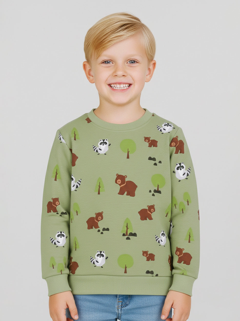 Boys Pullover Sweatshirt |  Green