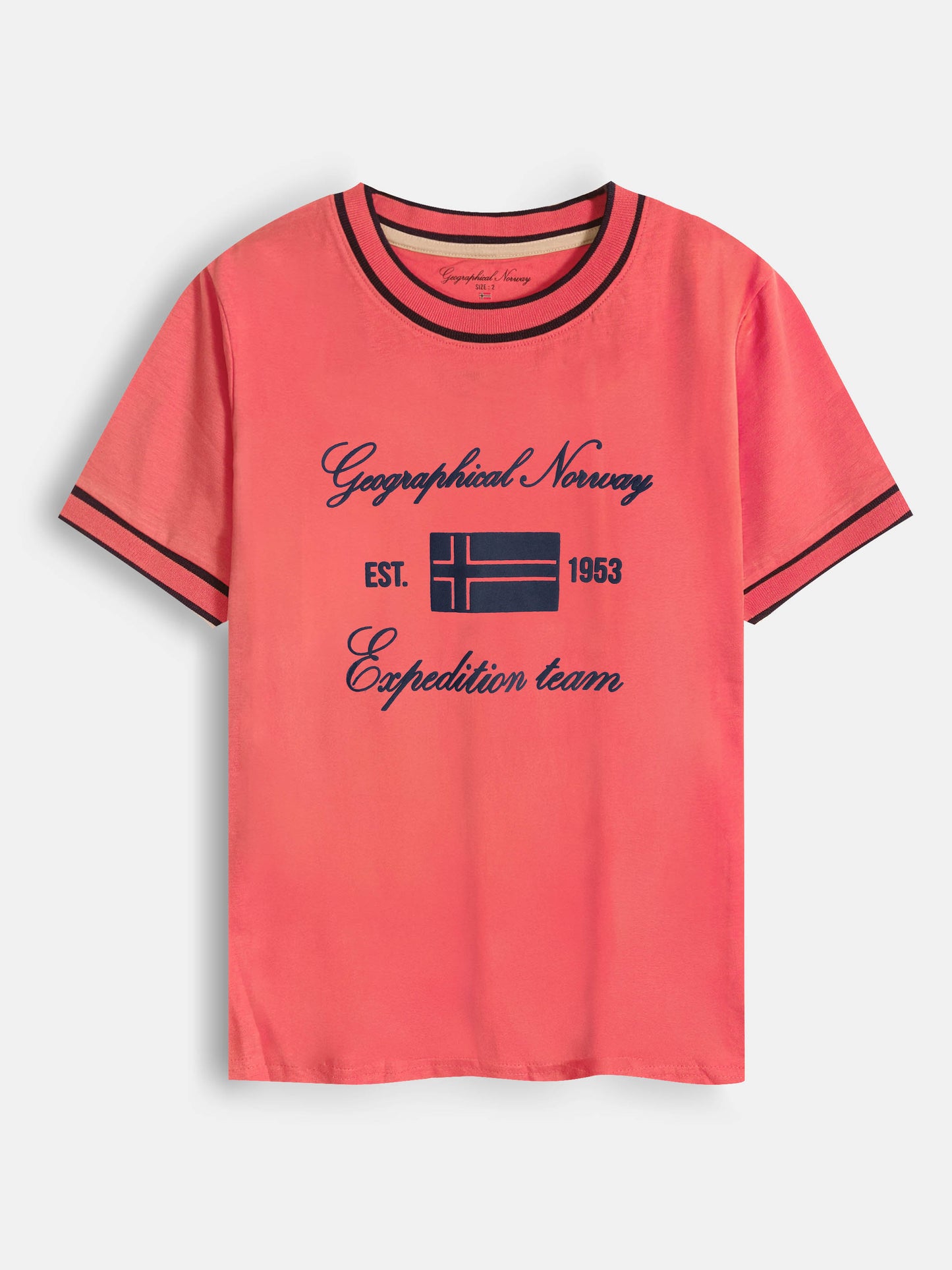 Ladies Printed T-Shirt