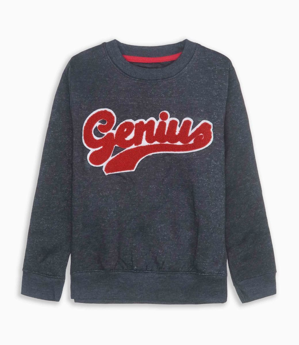 Boys Fleece Applique Pullover Sweatshirt Anthra Melange