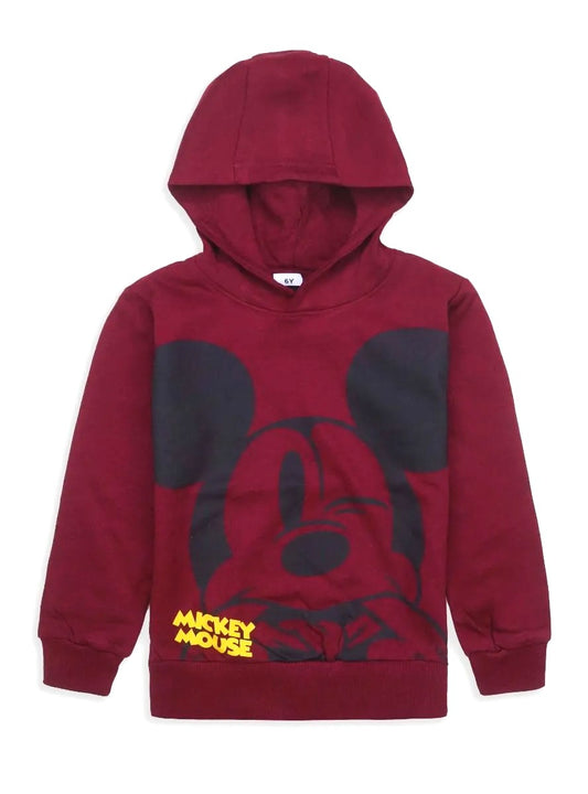 Boys Hooded Pullover Sweatshirt