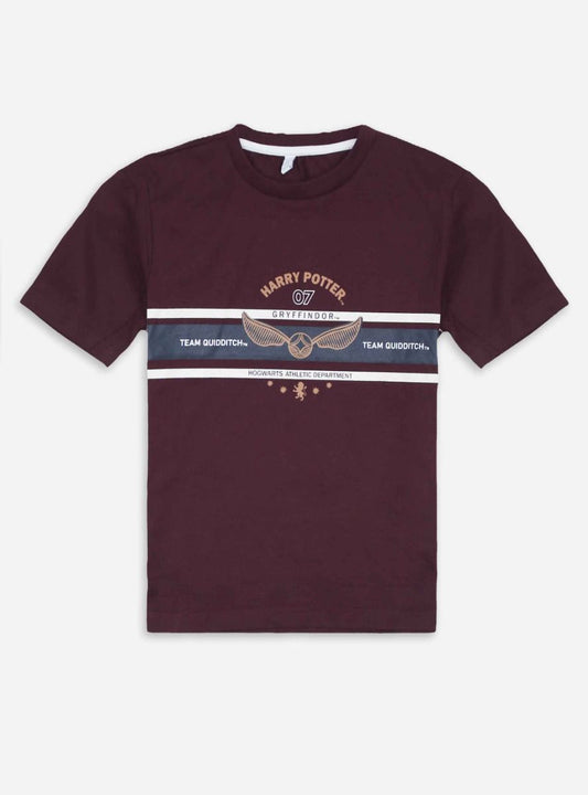 Boys Burgundy T Shirt